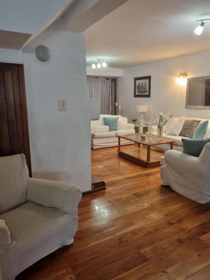 Francisca Apartment Mendoza Bagian luar foto